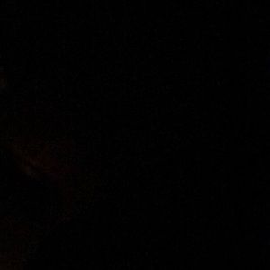 Meet your Posher, Derek